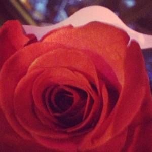 Meet your Posher, Hongjun